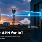 Private APN for IoT
